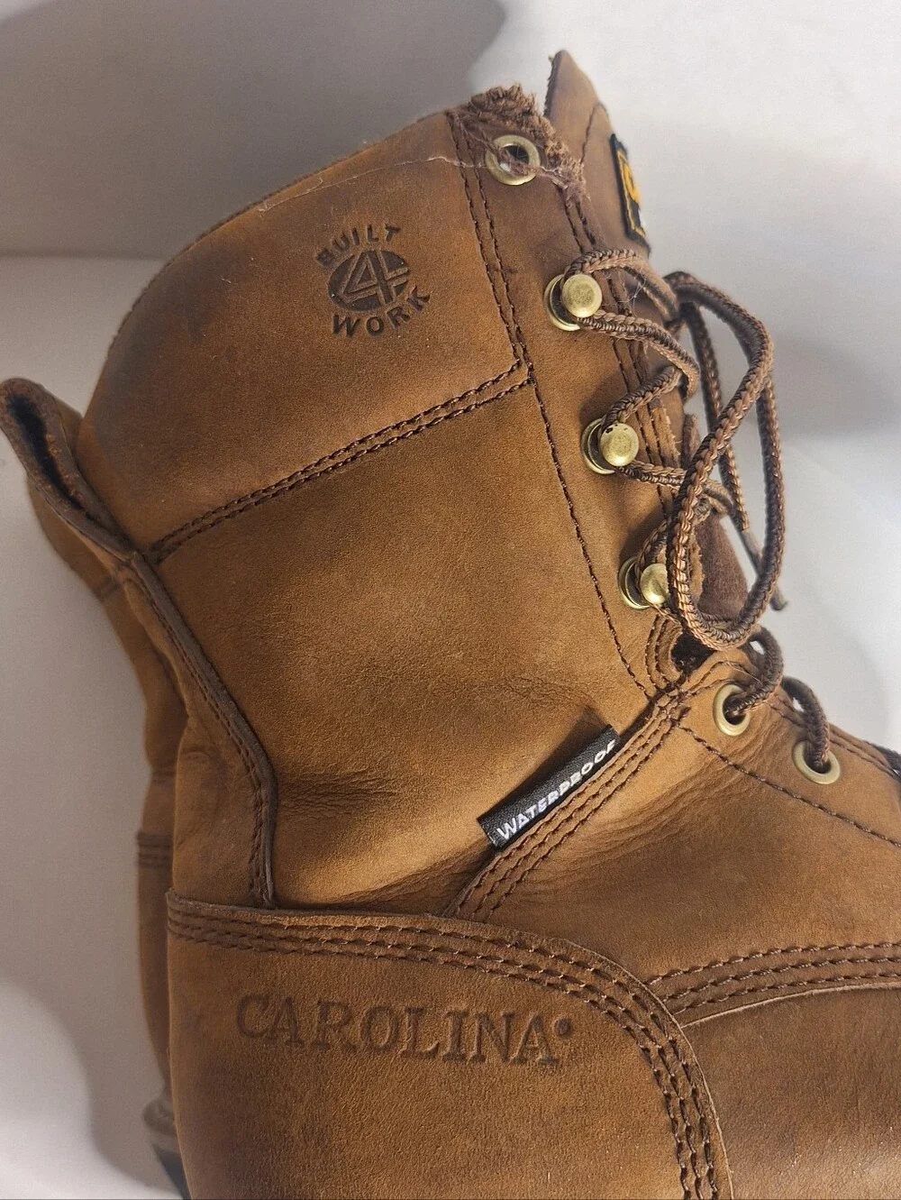 Carolina 8